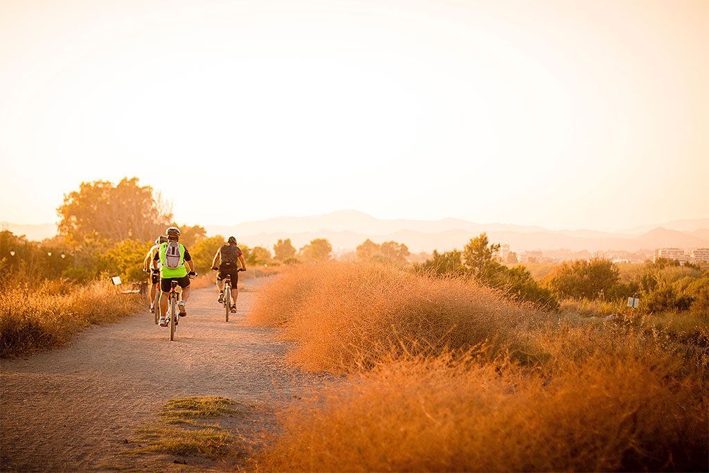 nature-sunset-river-bicycle