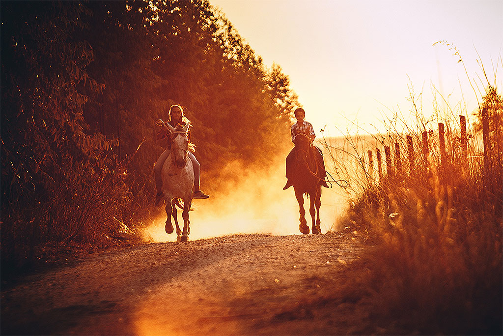 riding-horses-thasos